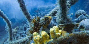 Adriatic Wreck Diving - by Reddit user Badekar