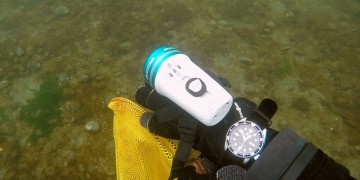 The Seiko SKX007 dive watch underwater