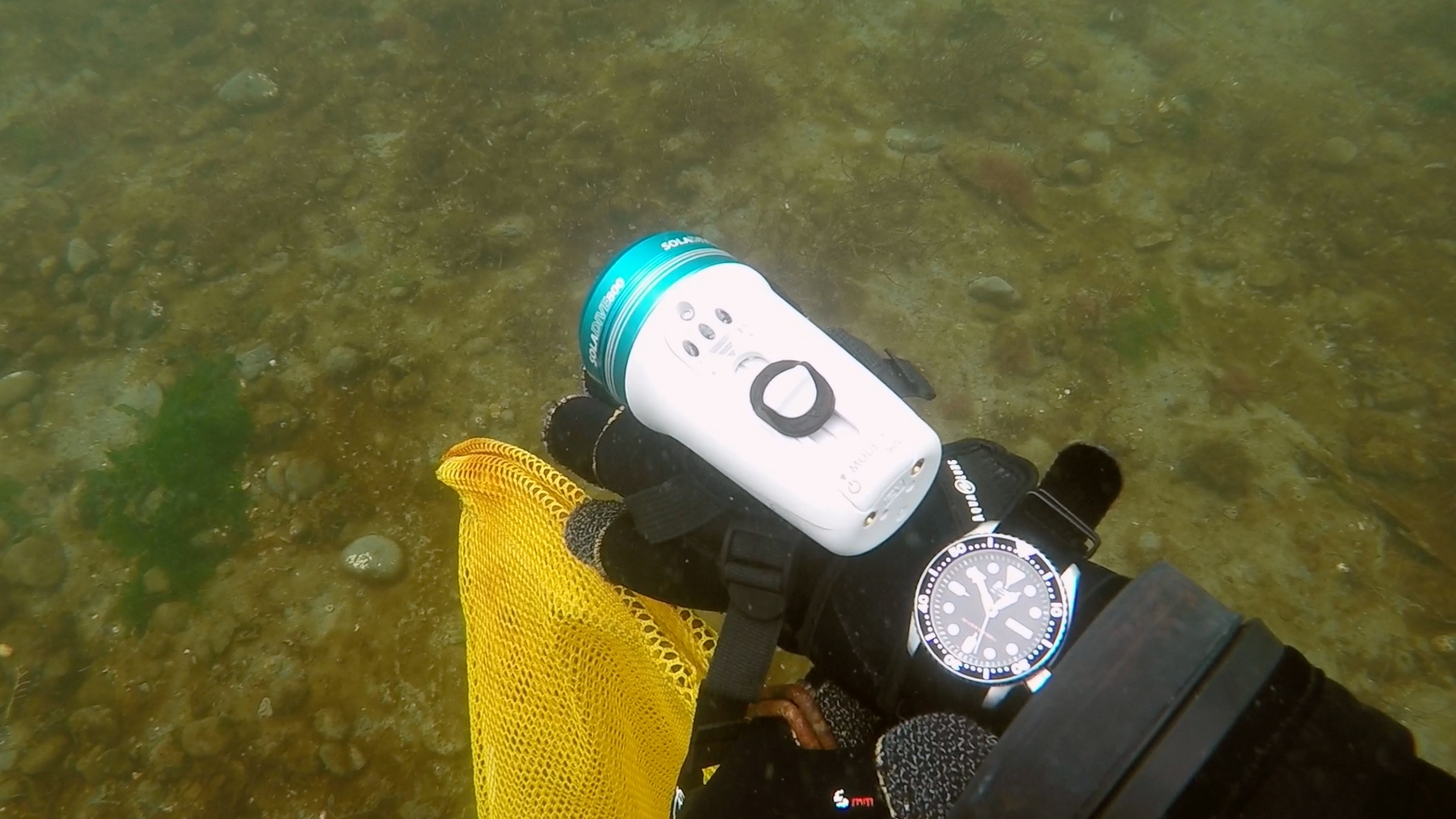 seiko skx diver