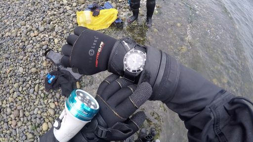 Casio MDV106-1A Review – Diver Wristshot On Beach