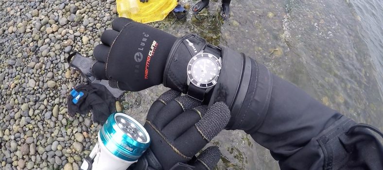 Casio MDV106-1A Diver Wristshot On Beach